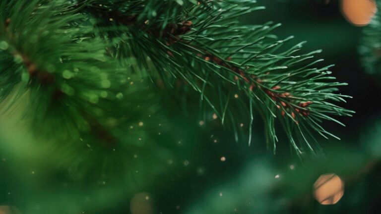 softip-pf-2024-homepromo