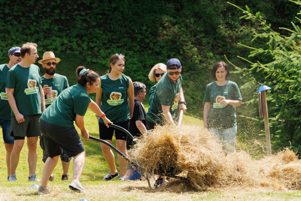 softip-meeting-l-2023-4